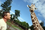 Žirafa Shani a její ošetřovatel